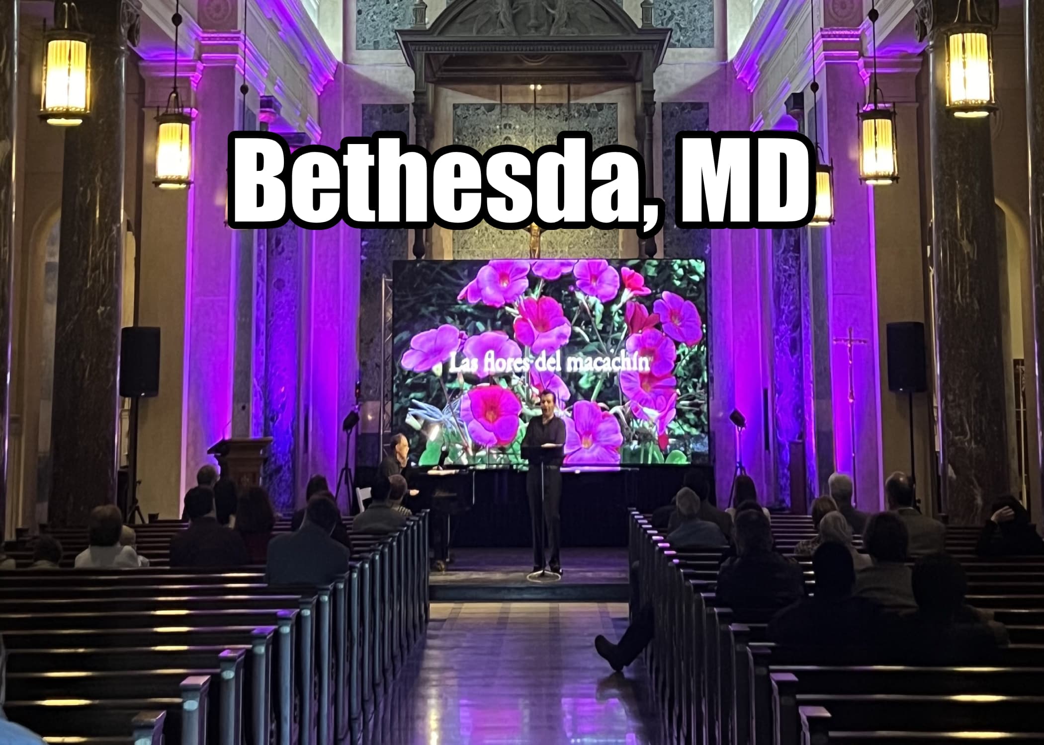 Opera Performance Event