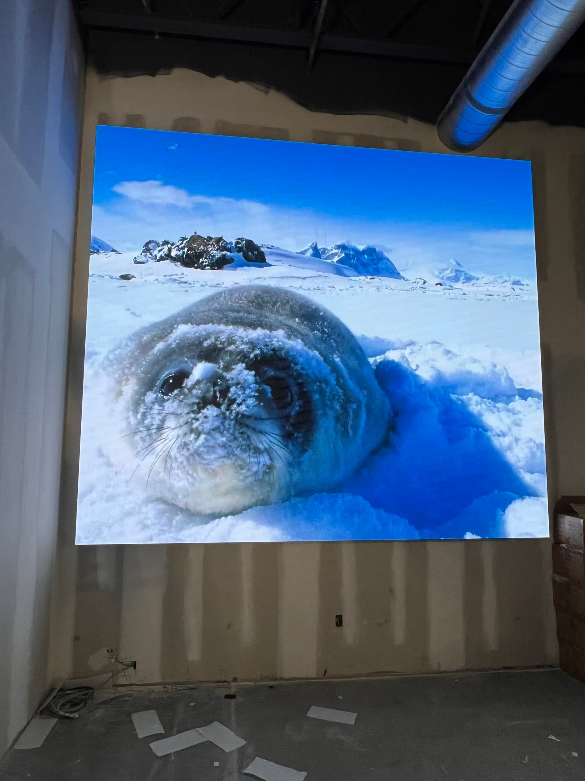 Local Food Court Video Wall, 1/2